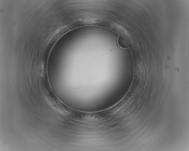 X0000060740596200511241640