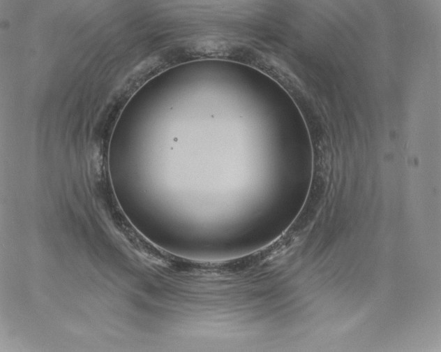 X0000060740597200511241640