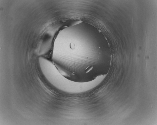 X0000060740598200511241640