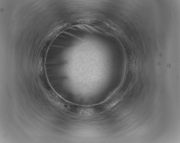 X0000060740599200511241640