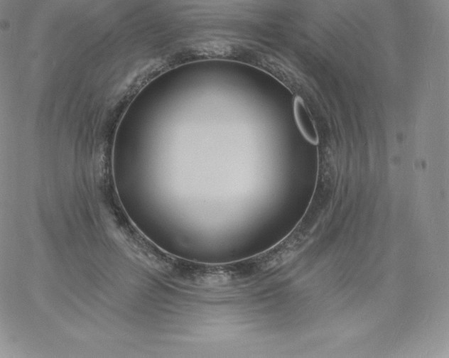 X0000060740600200511241640