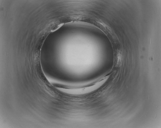 X0000060740601200511241640