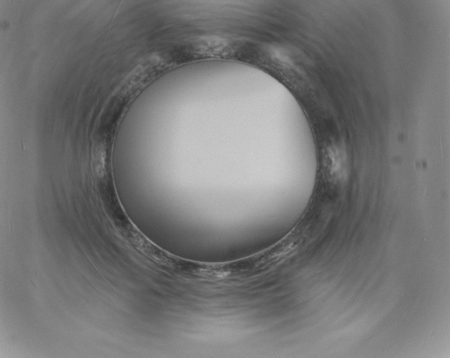 X0000060740602200511241640