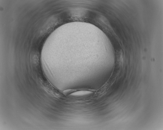 X0000060740603200511241640