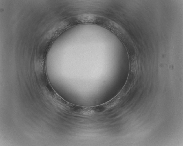 X0000060740604200511241640