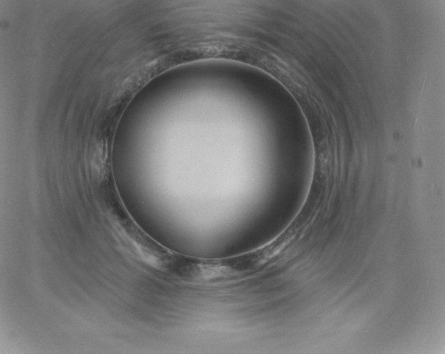 X0000060740605200511241640