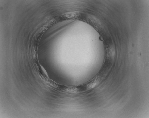 X0000060740606200511241640