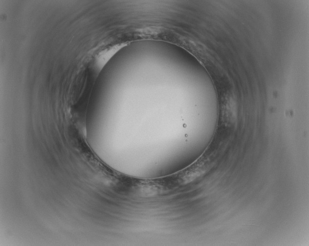 X0000060740608200511241640