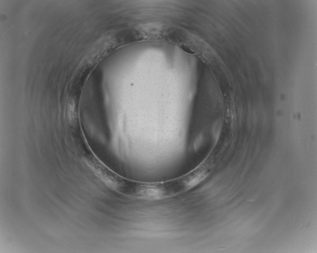 X0000060740610200511241640