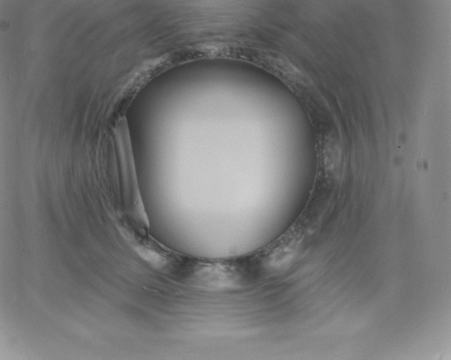 X0000060740611200511241640