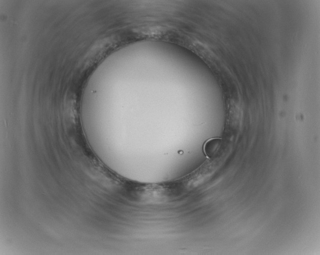 X0000060740612200511241640