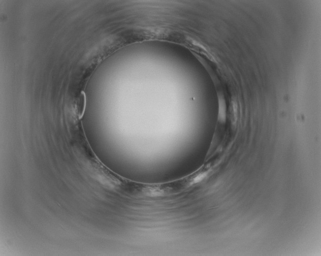 X0000060740613200511241640