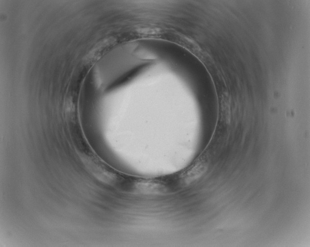 X0000060740614200511241640