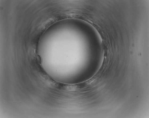 X0000060740615200511241640