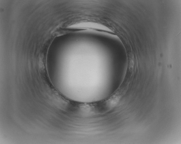 X0000060740616200511241640