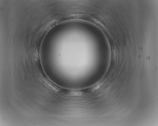 X0000060740617200511241640