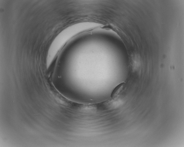 X0000060740619200511241639