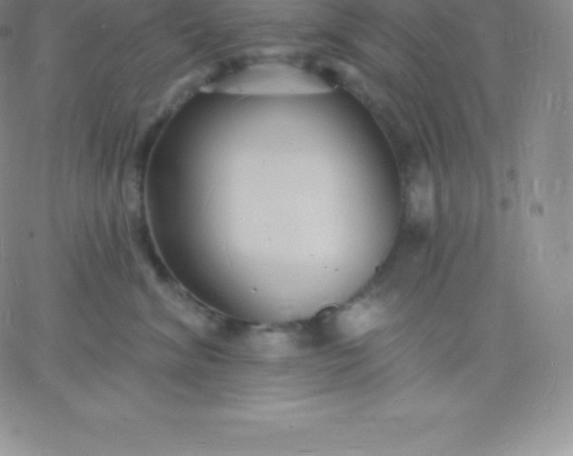 X0000060740620200511241639