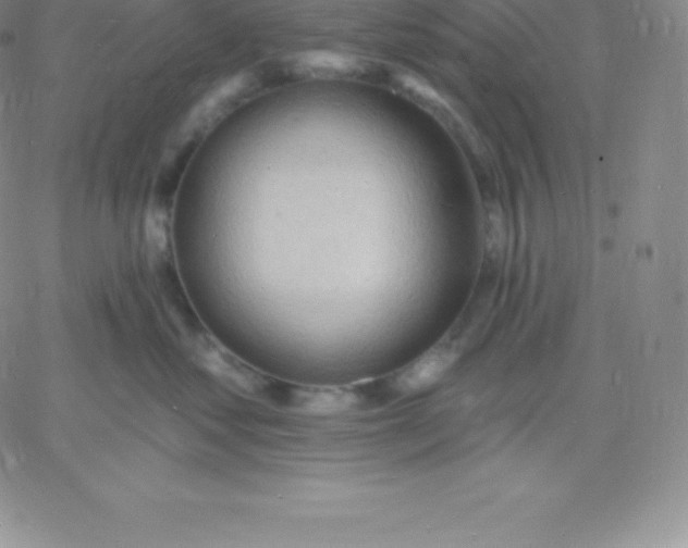 X0000060740621200511241639