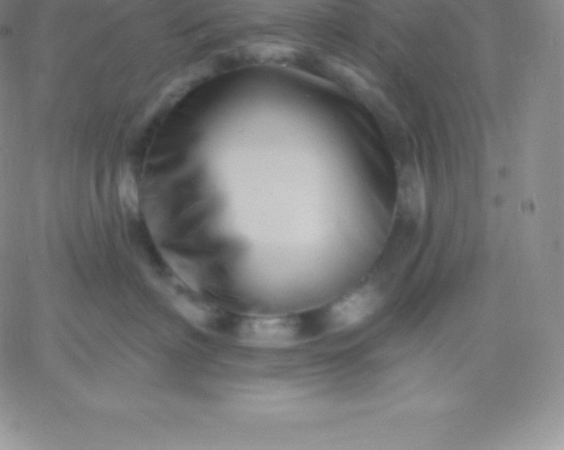 X0000060740622200511241639