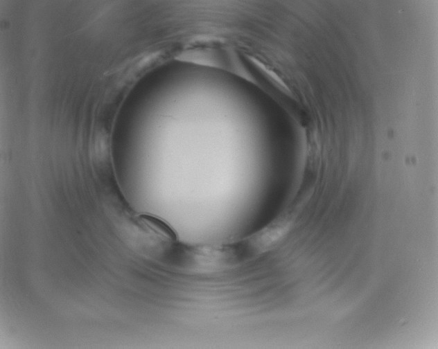 X0000060740623200511241639