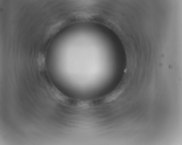 X0000060740624200511241639