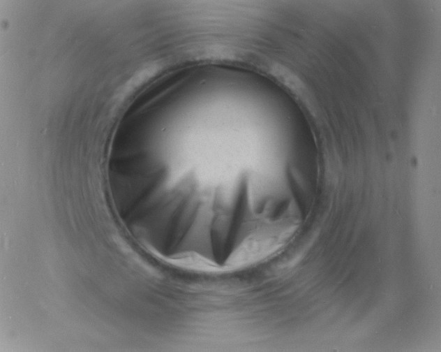 X0000060740625200511241639