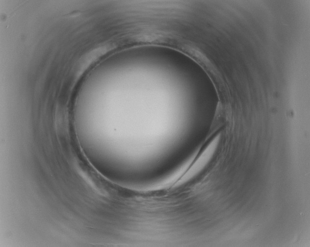 X0000060740626200511241639