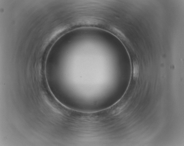 X0000060740627200511241639