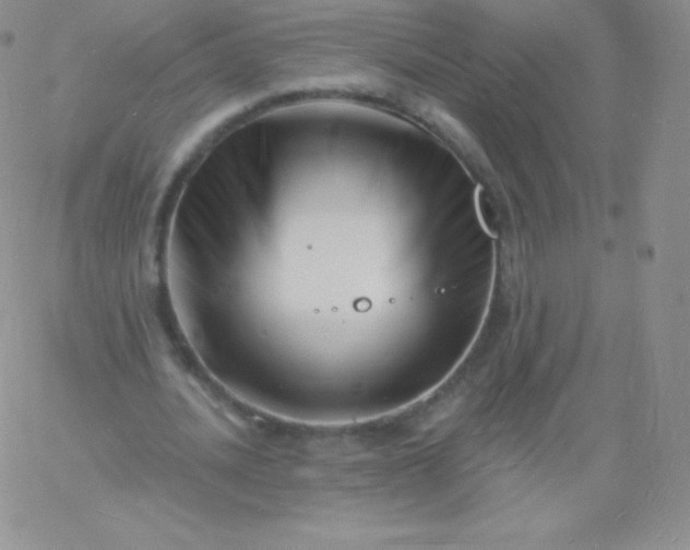 X0000060740628200511241639