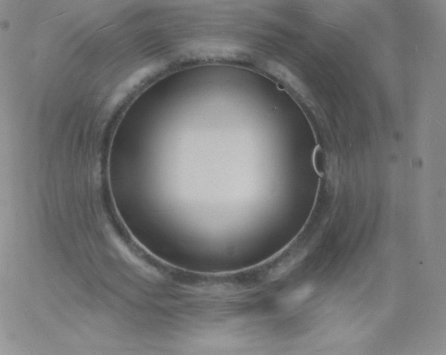 X0000060740629200511241639