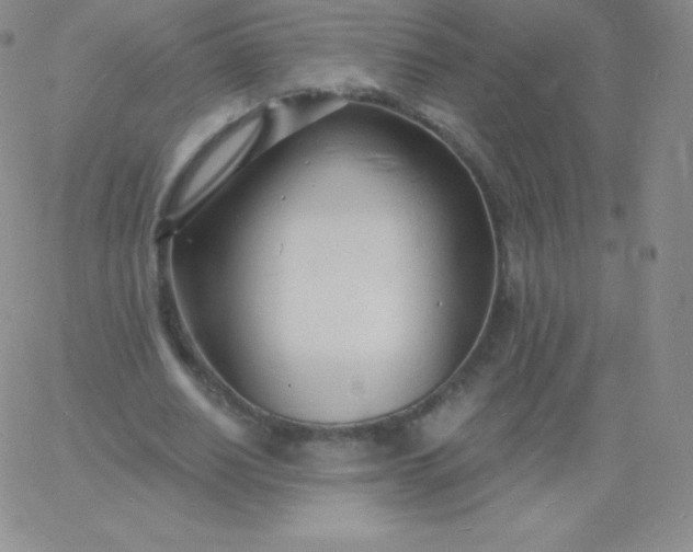 X0000060740630200511241639