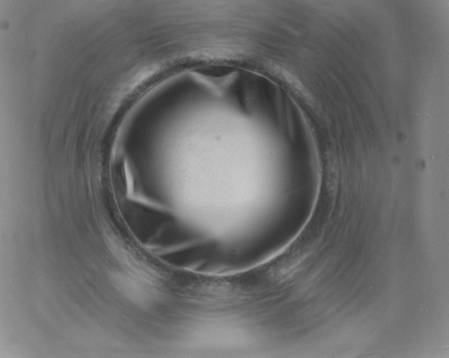 X0000060740631200511241639