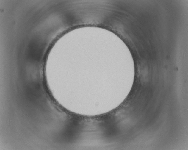 X0000060740632200511241639