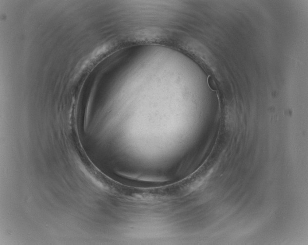 X0000060740633200511241639