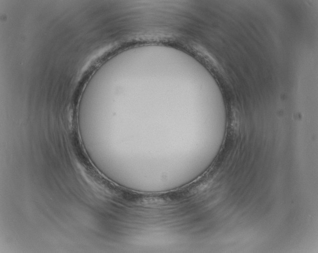 X0000060740636200511241639