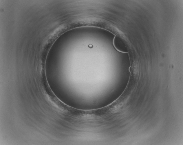 X0000060740637200511241639