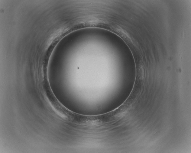 X0000060740638200511241639