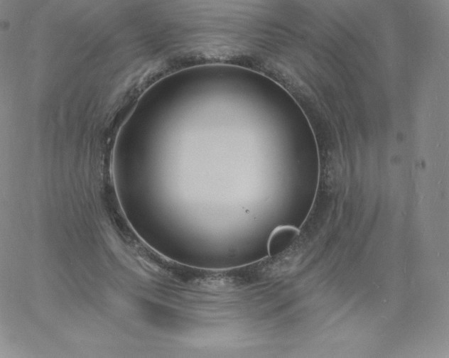 X0000060740639200511241639