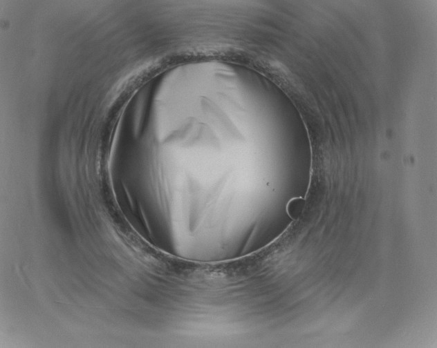 X0000060740640200511241639