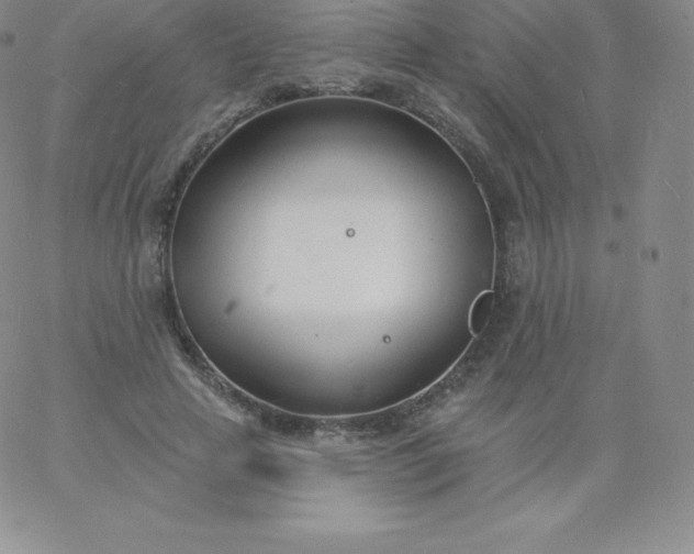 X0000060740641200511241639