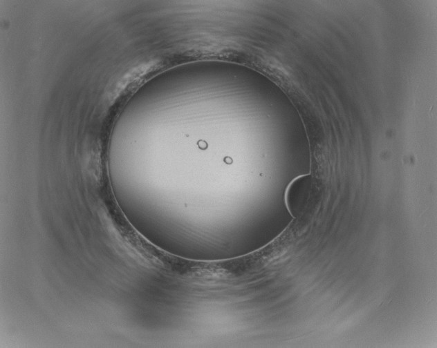 X0000060740642200511241639