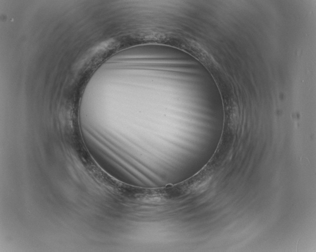 X0000060740643200511241639