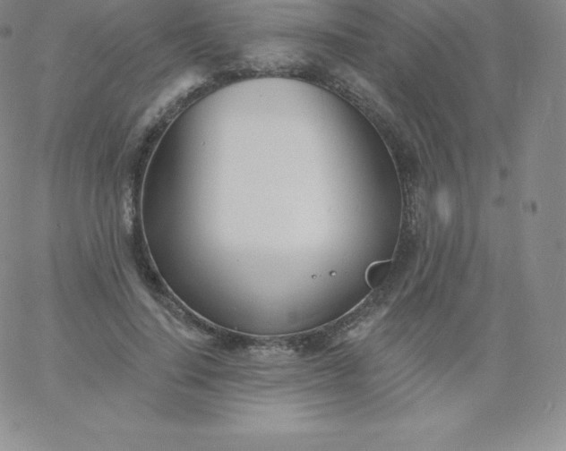 X0000060740644200511241639