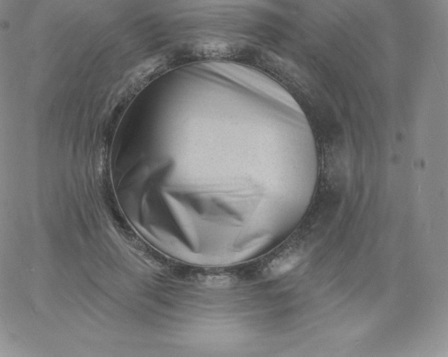 X0000060740645200511241639