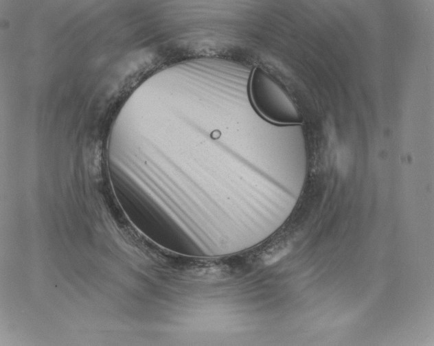 X0000060740646200511241639