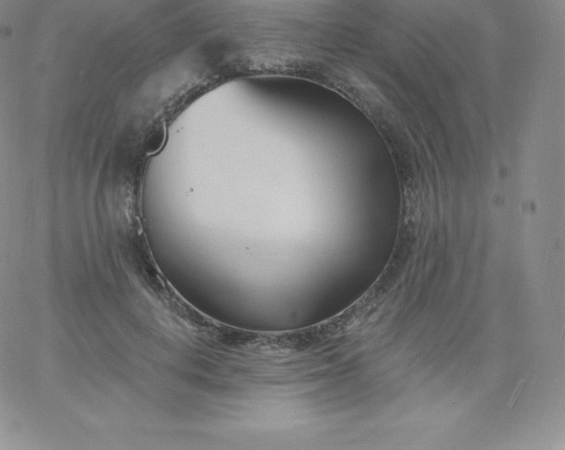 X0000060740648200511241639