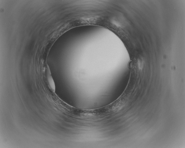 X0000060740649200511241639