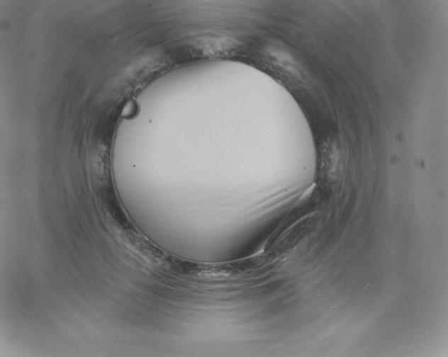 X0000060740650200511241639