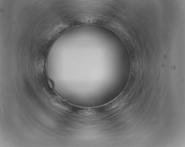 X0000060740652200511241639